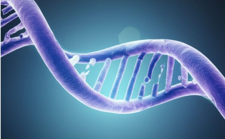 Revolutionizing Cancer Care: Liquid Biopsies Guiding Personalized Clinical Trials in Boston and Beyond